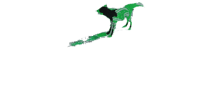 Green Dog Films